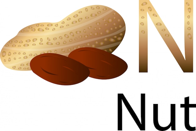 Illustrator n font with nut