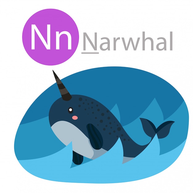 Illustrator of n for narwhal animal