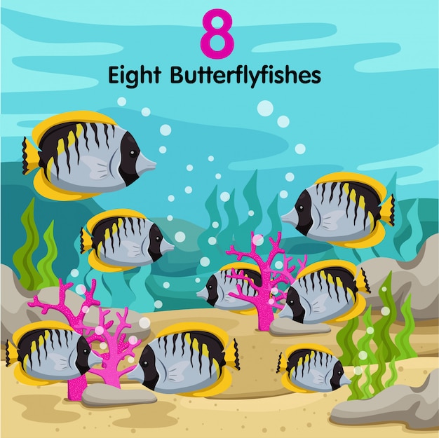 Illustrator of number with eight butterfly fish