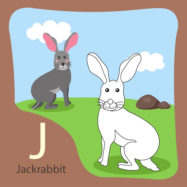 Иллюстратор кролика изолированы и раскраски