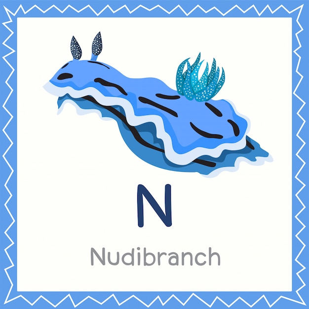 Nudibranch動物のためのnのイラストレーター