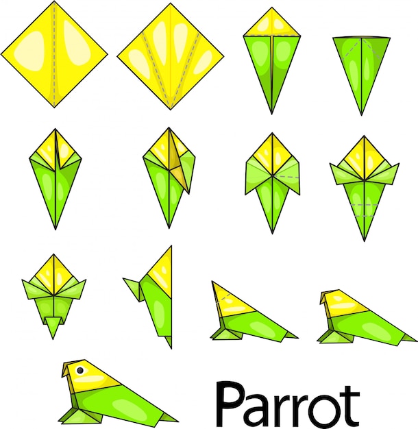 종이 접기 앵무새의 일러스트 레이터