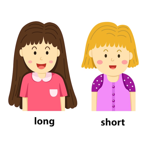 Vector illustrator of opposites long and short