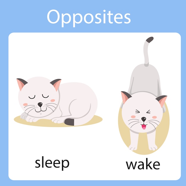 Illustrator of opposites sleep and wake