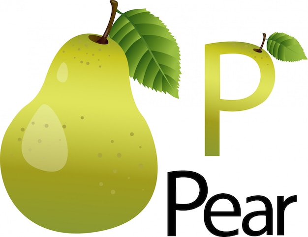 Vettore illustrator p font with pear