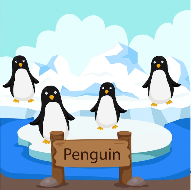 Illustrator of penguin in the zoo