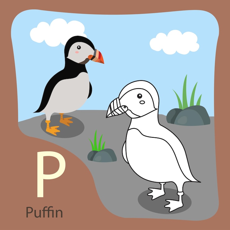 Vector illustrator of puffin isolated and coloring