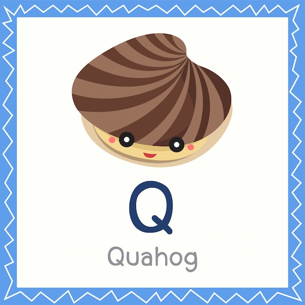 Illustrator of q for quahog animal