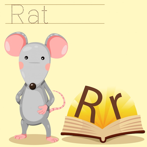 Illustratore di r per vocabolario di ratto