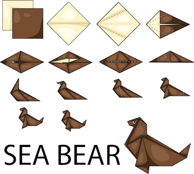 Illustrator of sea bear