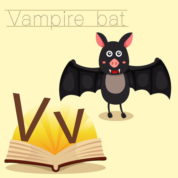 Illustrator of v for vampire bat vocabulary