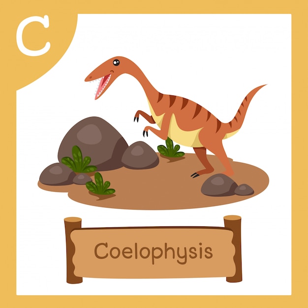 Illustrator van C voor Dinosaur coelophysis