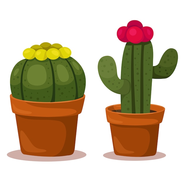 Illustrator van cactus