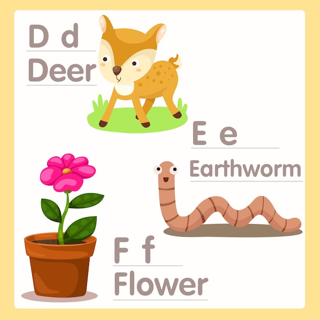 Illustrator van def met deer earthworm en flower-alfabet