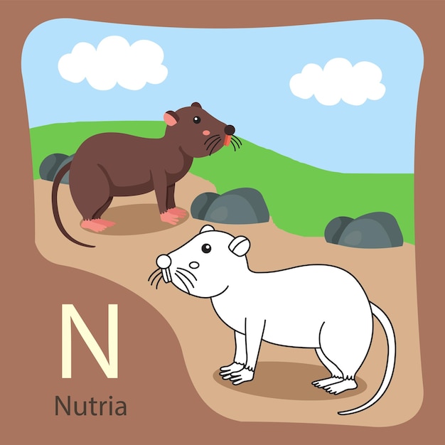 Illustrator van nutria geïsoleerd en kleuren