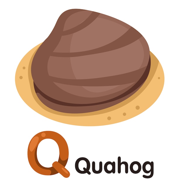 Illustrator van Q-lettertype met Quahog