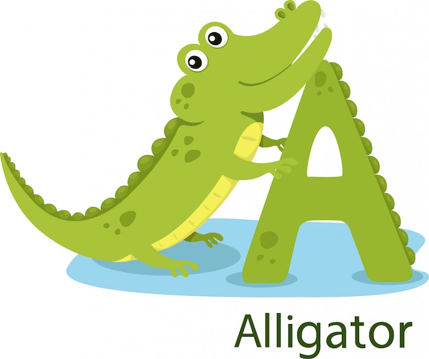 Illustrator of A with alligator