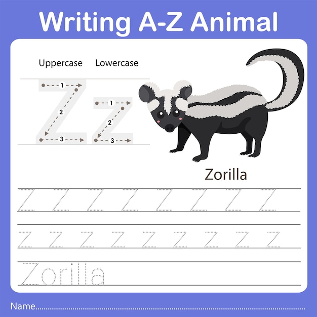 Illustrator of writing az animal zorilla