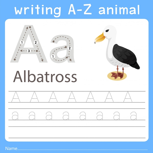 Illustrator writing a-z animal of albatross