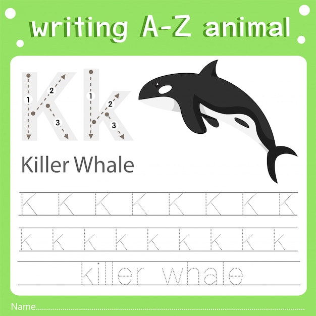 Illustrator of writing a-z animal k killer whale