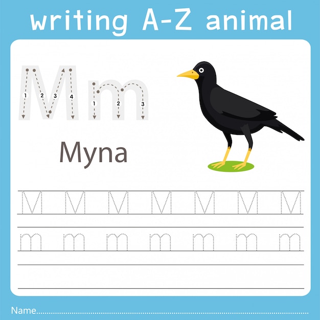 Illustrator writing a-z animal of myna