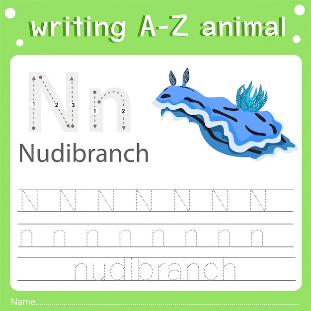 Illustratore della scrittura di az animal n nudibranch