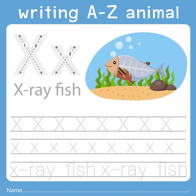 Illustrator of writing a-z animal x