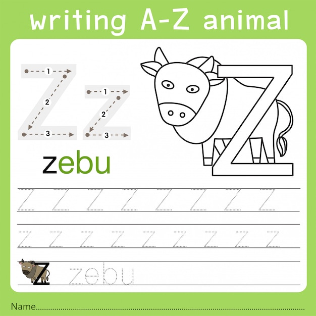 Illustrator of writing a-z animal z