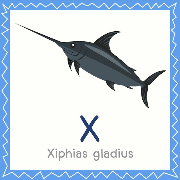 Illustrator of x for xiphias gladius animal