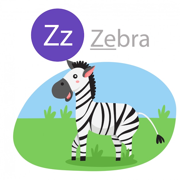 Illustrator of Z for zebra animal