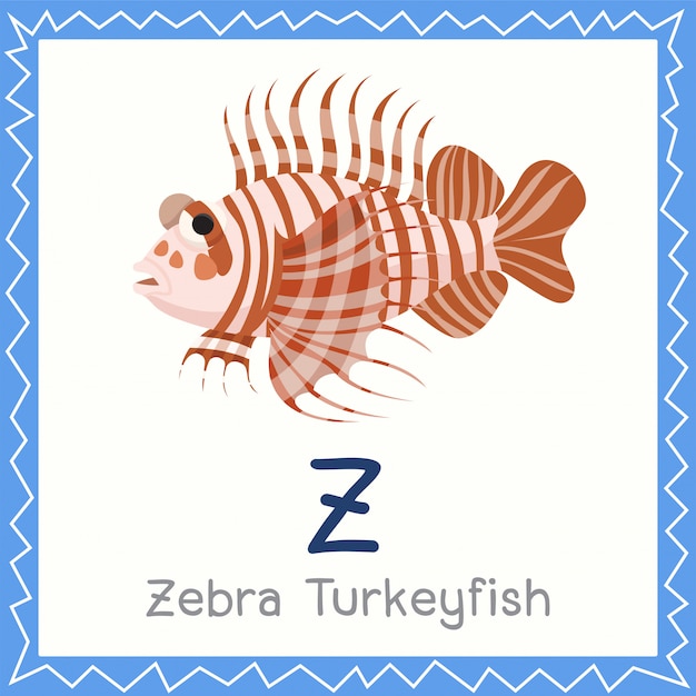 Illustratore di z per zebra turkeyfish animal
