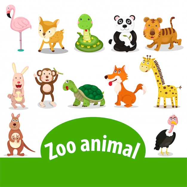 Illustratore di animali dello zoo