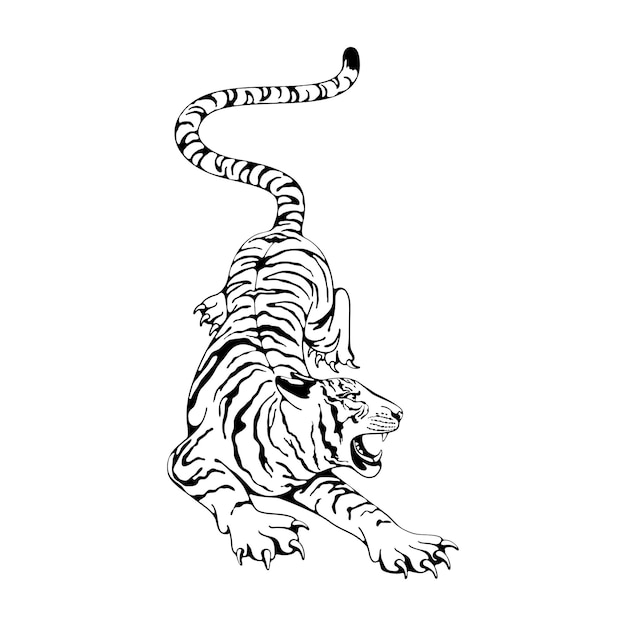 Premium Vector | Ilustracion de pagina para colorear de tigre kawaii ...