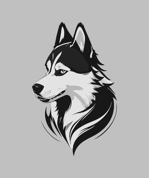 Iluustartion of a black and white Siberian husky isolated on a grey background