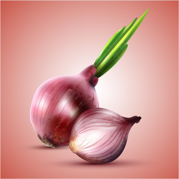 an image of a beet and onion on a red background