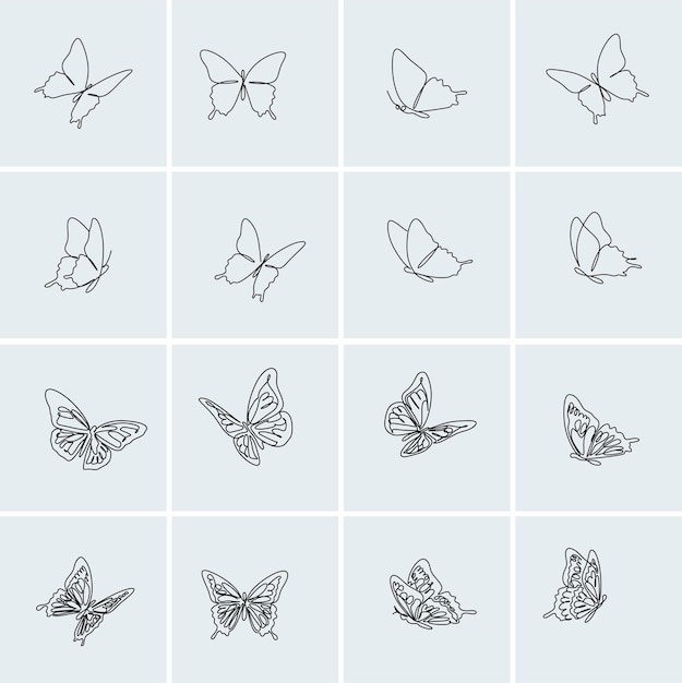 An image of butterflies in lines. Vector