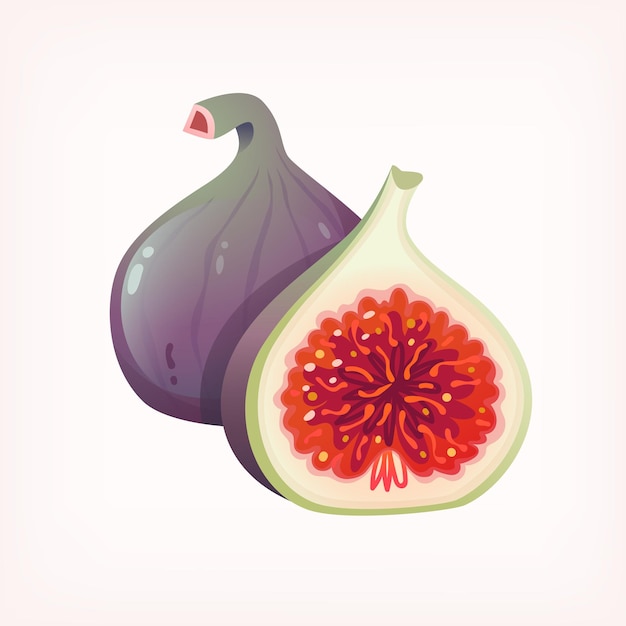 image of fresh ripe fig fruit sliced in half isolated vector image