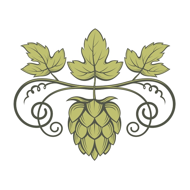 image of hops