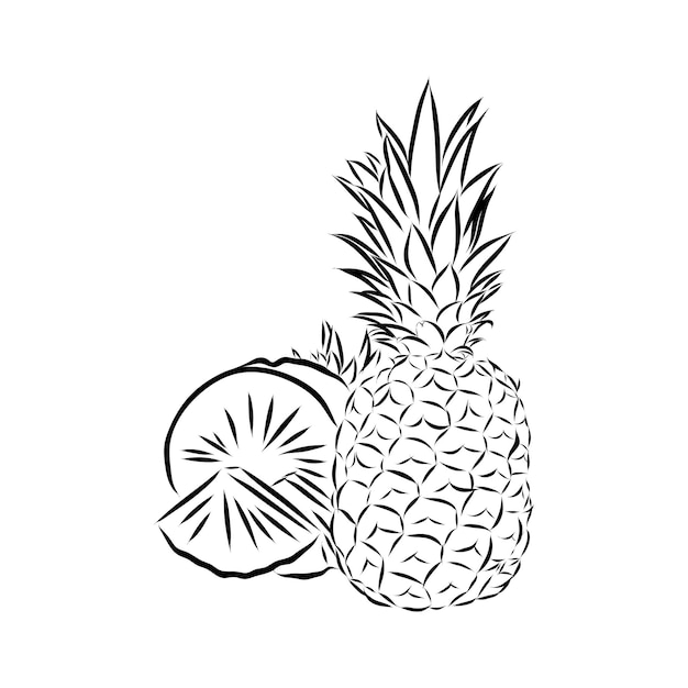 Premium Vector | Image of pineapple fruit vector black and white