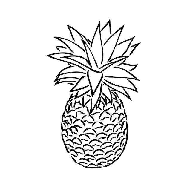 Image of pineapple fruit vector black and white illustration