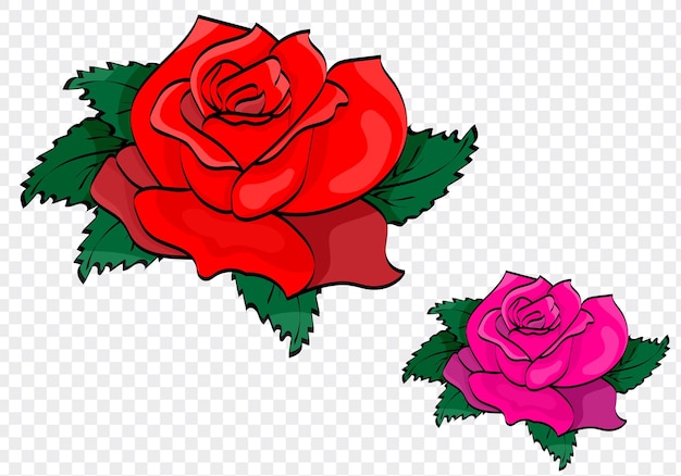 Image of a rose in two colors. Freehand drawing