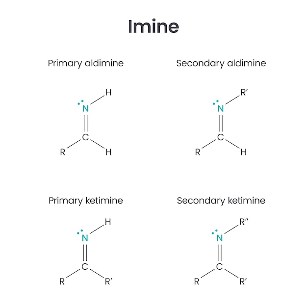 Imine Biochemistry Functional Group Science Vector Illustration