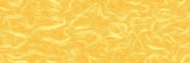 Imitation of a geographical map, light lines on an orange background, vector design, banner