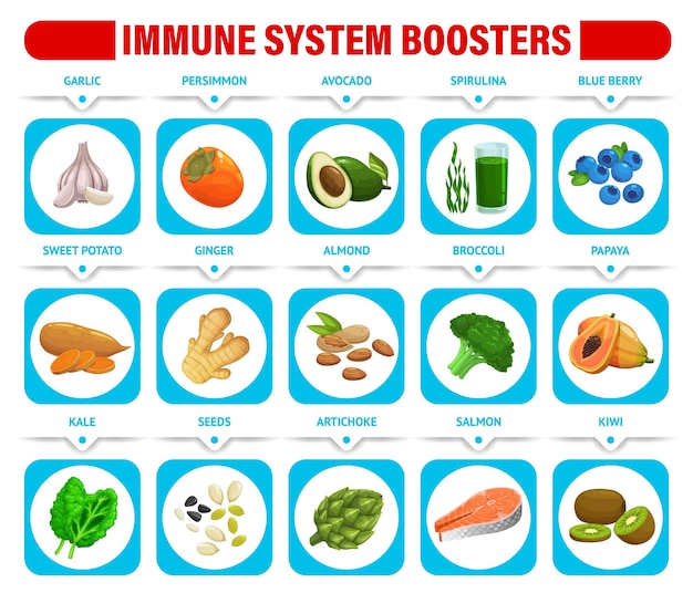 Immune system boosters chart with healthy food