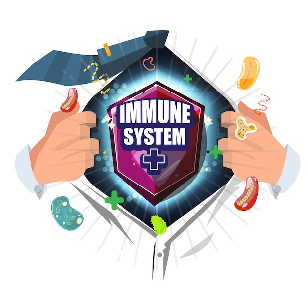 Vector immune system concept