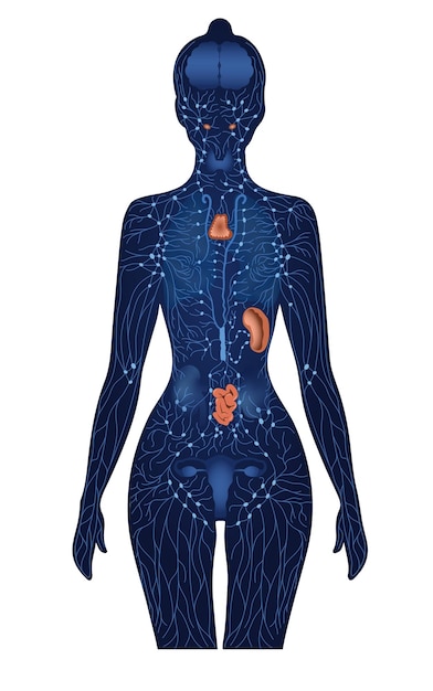 Sistema immune