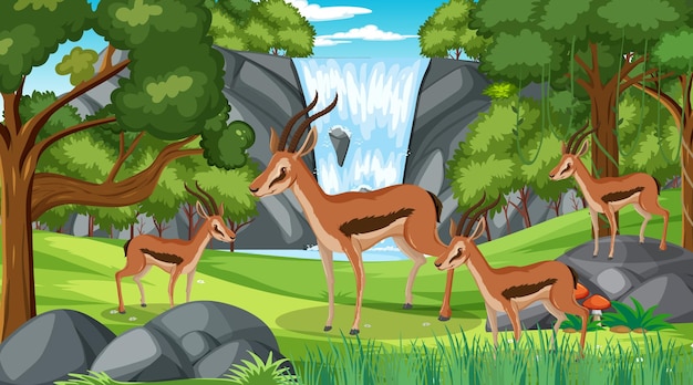 Impala group in forest at daytime scene with many trees