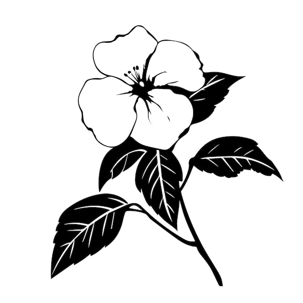 Impatiens black and white vector template set for cutting and printing