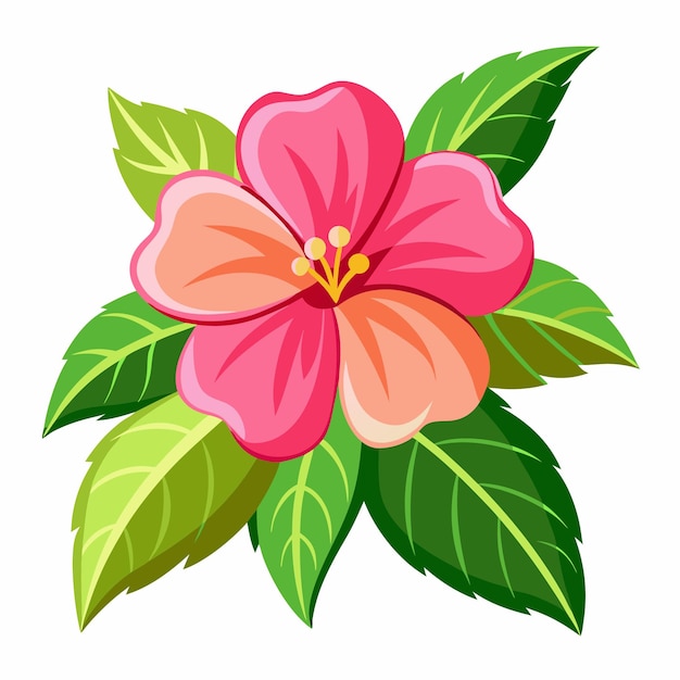 impatiens flower clipart cartoon style vector illustration