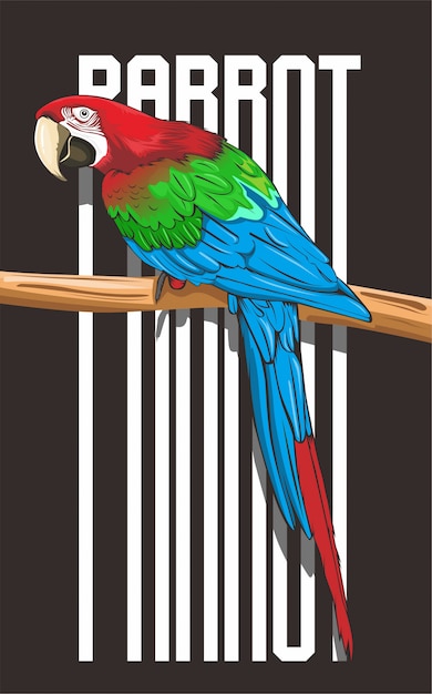 Impressive parrot illustration